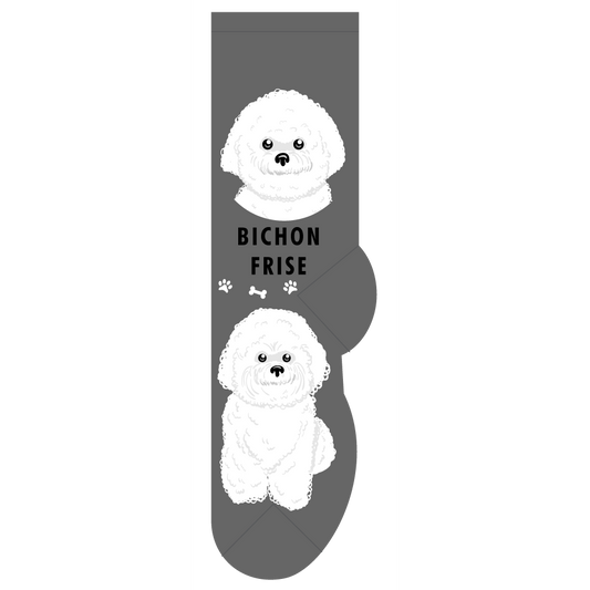 Bichon Fris